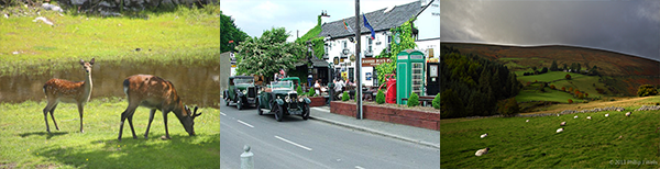 traditional pub bar in ireland