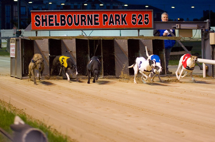 Shelbourne Park Greyhound Stadium