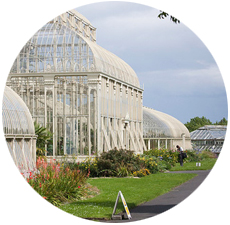 Visit National Botanic Gardens with Dublin Car Rental Special Offers