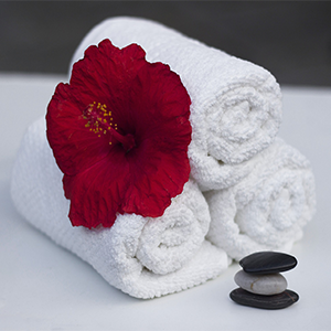 Castleknock Hotel and Country Club Dec & Jan Spa Sale