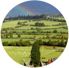 Kilkenny Day Tour