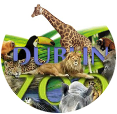 Dublin Zoo - Dublin events - Fun things to do in Dublin