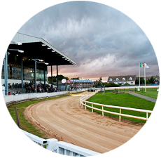 Harolds Cross Greyhound Stadium