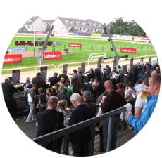 Shelbourne Park Greyhound Stadium