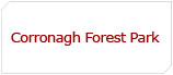 Corronagh Forest Park
