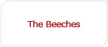 The Beeches