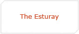 The Estuary