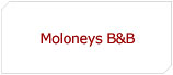 Moloneys B&B