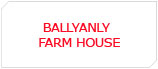 Ballyanly House