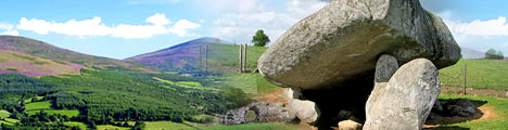 County Carlow Hotels And Much more