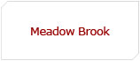 Meadow Brook