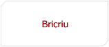 Bricriu