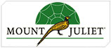 Mount Juliet Golf Club