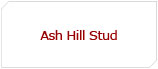 Ash Hill Stud