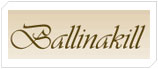 Ballinakill Mews